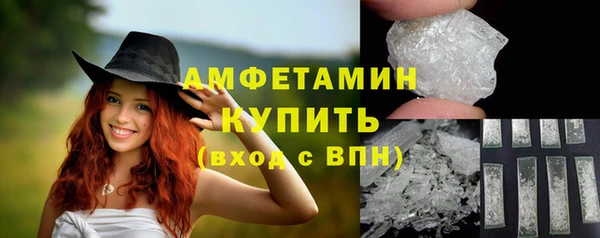 гашик Гусев