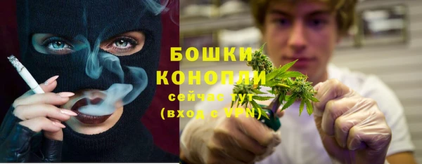ALPHA PVP Горнозаводск