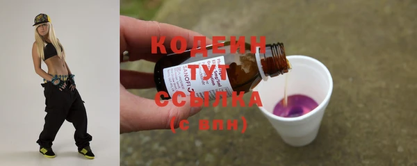 гашик Гусев