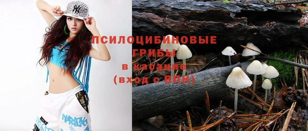 гашик Гусев