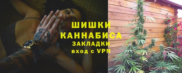 ALPHA PVP Горнозаводск