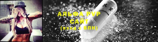 мдпв Гусь-Хрустальный