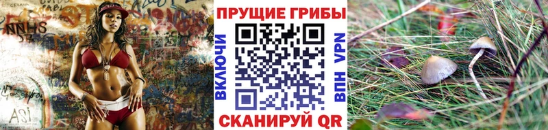 Галлюциногенные грибы MAGIC MUSHROOMS  Велиж 